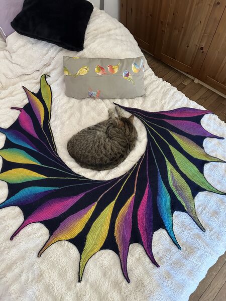 Fichier:Châle marine plumes multicolores.jpeg